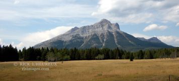 Crowsnest Mt.